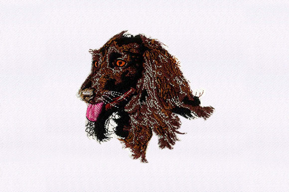 Afghan Hound Face Embroidery Review
