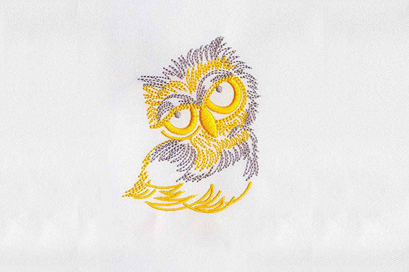 Big Eyes Owl Embroidery Review for Seasonal Projects
