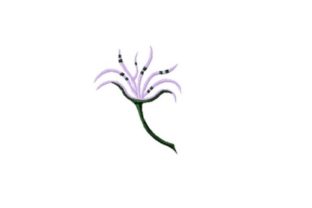 Engagement Ring Flower Embroidery Review