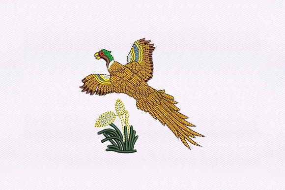 Flying Macaw Parrot Embroidery Review